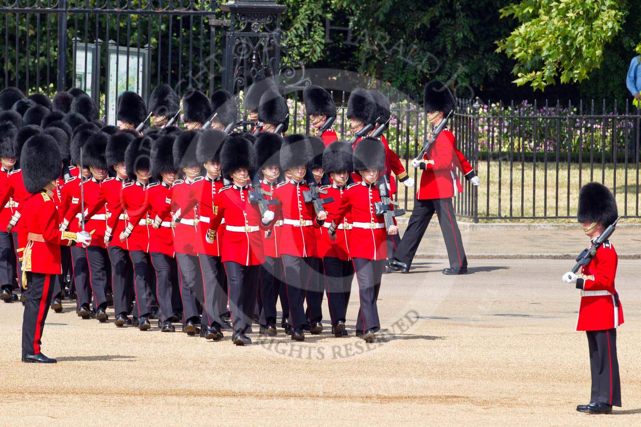 The Colonel's Review 2011: No. 3 Guard, F Company Scots Guards, marching onto the parade ground. In the background St. James's Park..
Horse Guards Parade, Westminster,
London SW1,

United Kingdom,
on 04 June 2011 at 10:27, image #26