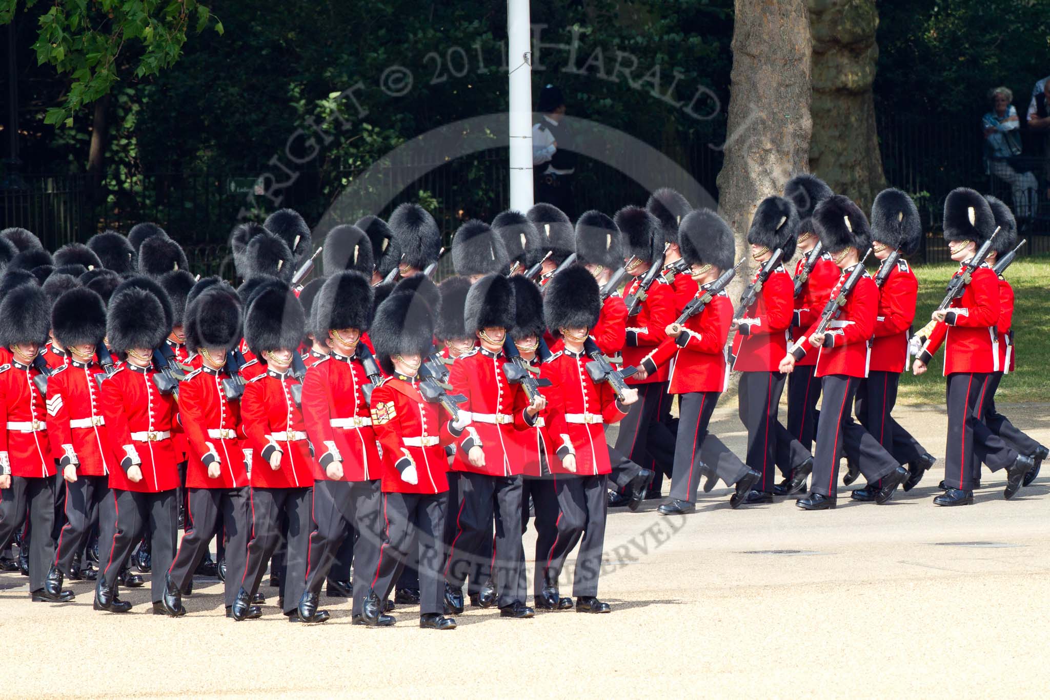 The Colonel's Review 2011: No. 4 Guard, Nijmegen Company Grenadier Guards, marching onto the parade ground..
Horse Guards Parade, Westminster,
London SW1,

United Kingdom,
on 04 June 2011 at 10:27, image #27