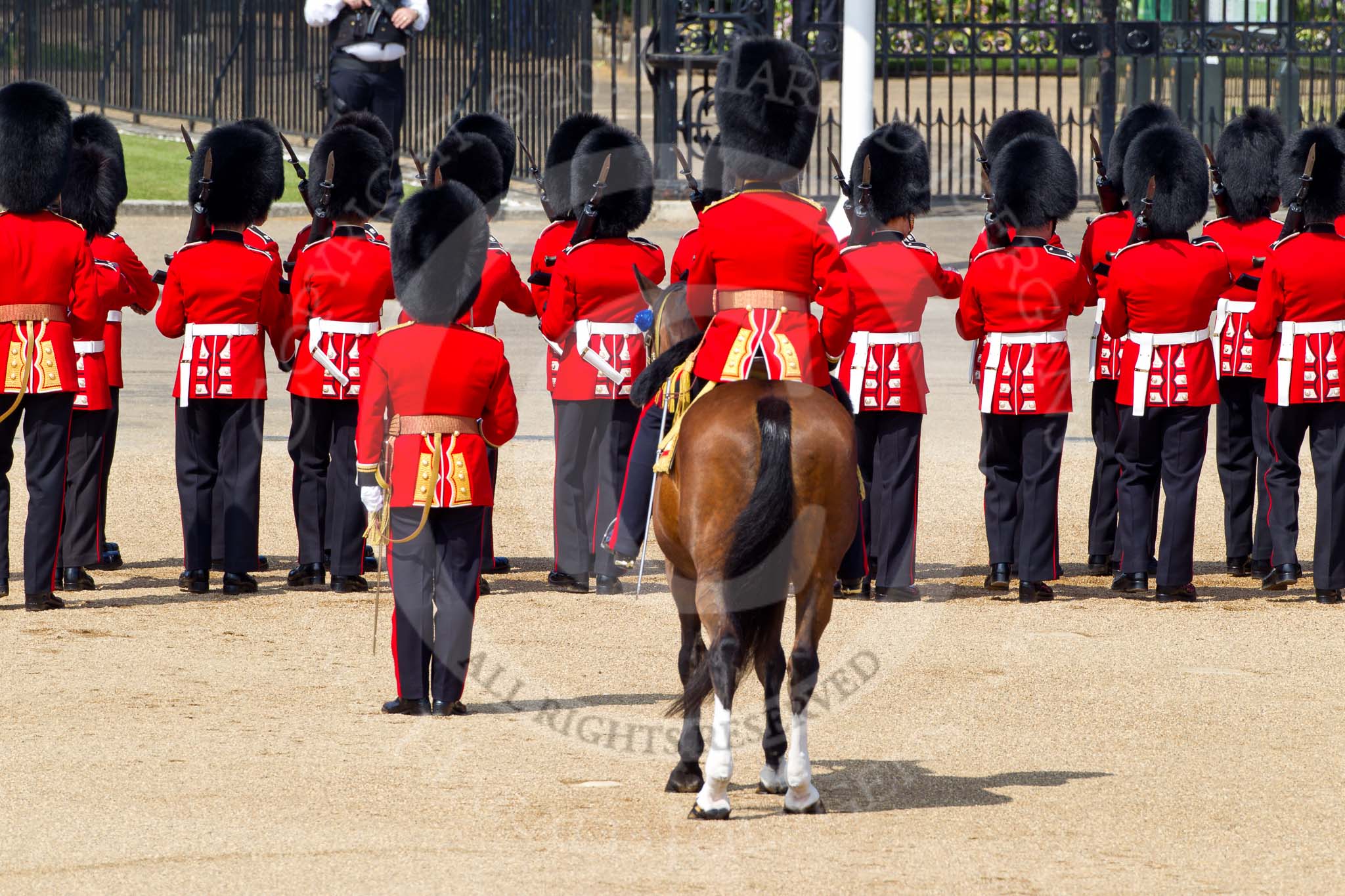 The Colonel's Review 2011: The Field Officer, L P M Jopp, behind No. 3 Guard, F Company Scots Guards, all facing towards Horse Guards Road as they about to open a gap in the line of guards for the first carriages of the Royal Procession..
Horse Guards Parade, Westminster,
London SW1,

United Kingdom,
on 04 June 2011 at 10:43, image #59