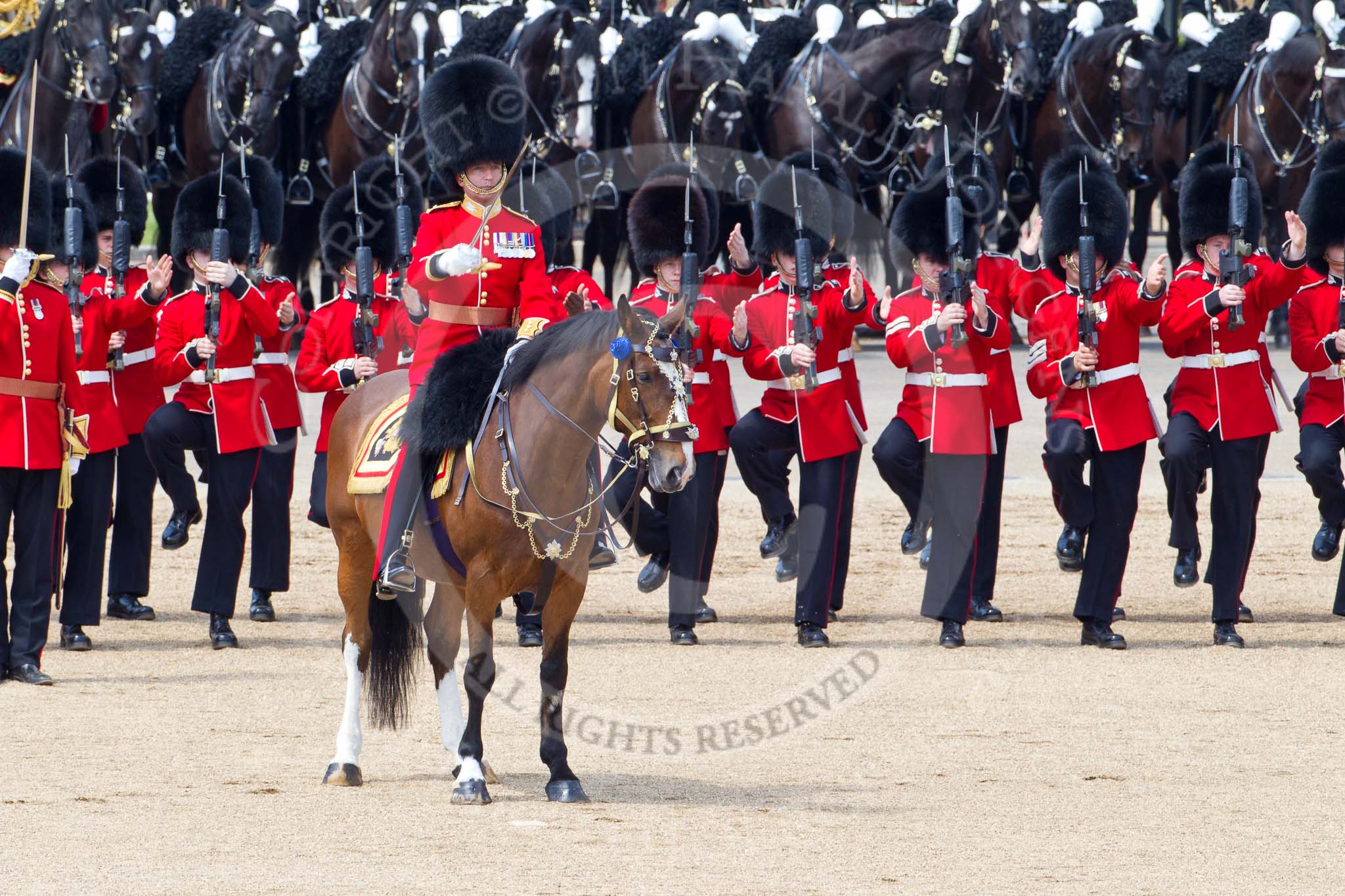 The Colonel's Review 2011: The Field Officer, Lieutenant Colonel L P M Jopp, riding 'Burniston', here in front of No. 2 Guard, B Company Scots Guards, presenting arms..
Horse Guards Parade, Westminster,
London SW1,

United Kingdom,
on 04 June 2011 at 12:00, image #271