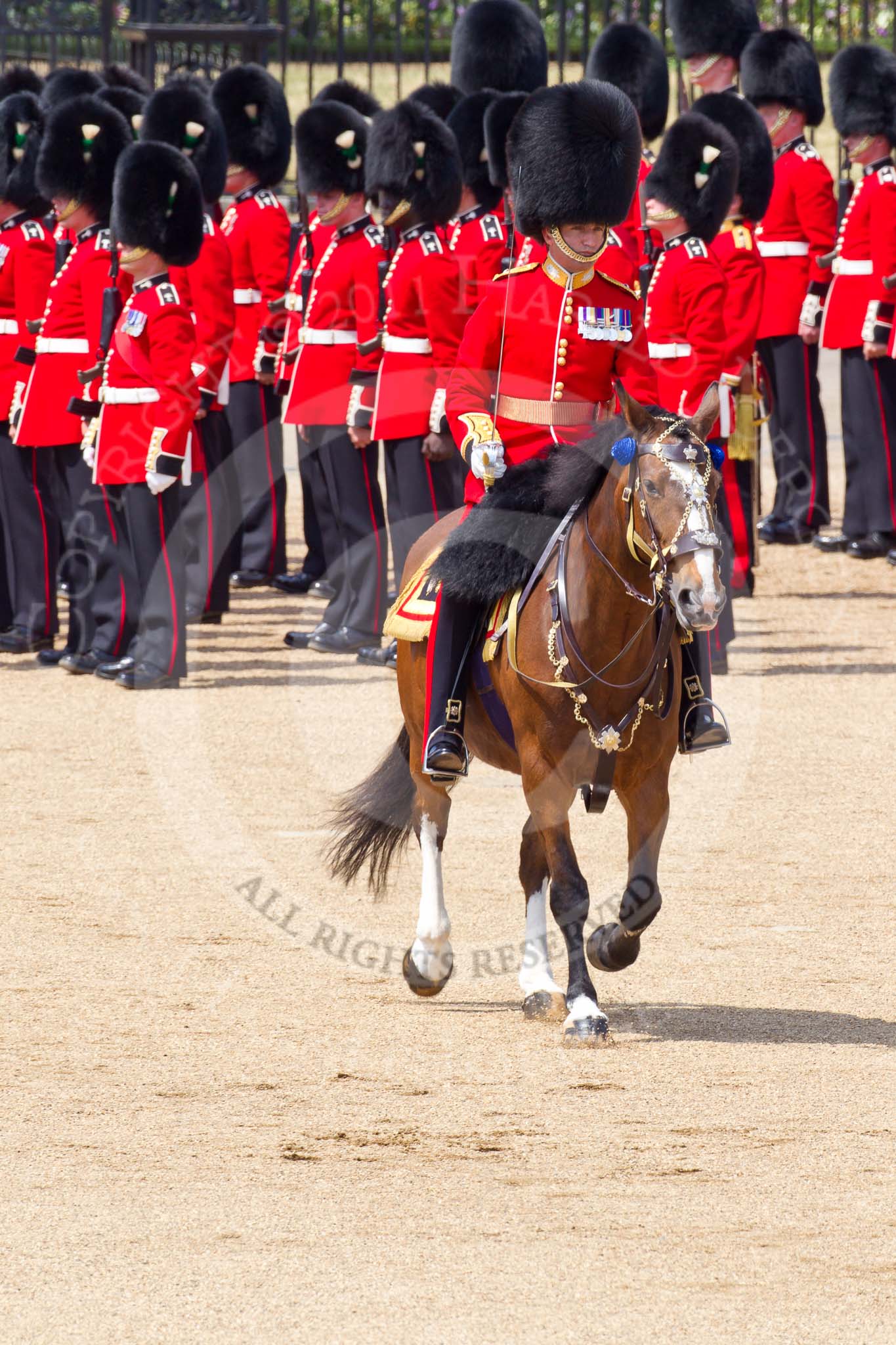 Photo 110604_120443_1D4_1796HaraldJoergens_ The Colonel's Review 2011: The Field Officer, Lieutenant Colonel L P M Jopp, riding 'Burniston', about to ask permission to march off..
Horse Guards Parade, Westminster,
London SW1,
United Kingdom,
on 04 June 2011 at 12:04, image #280