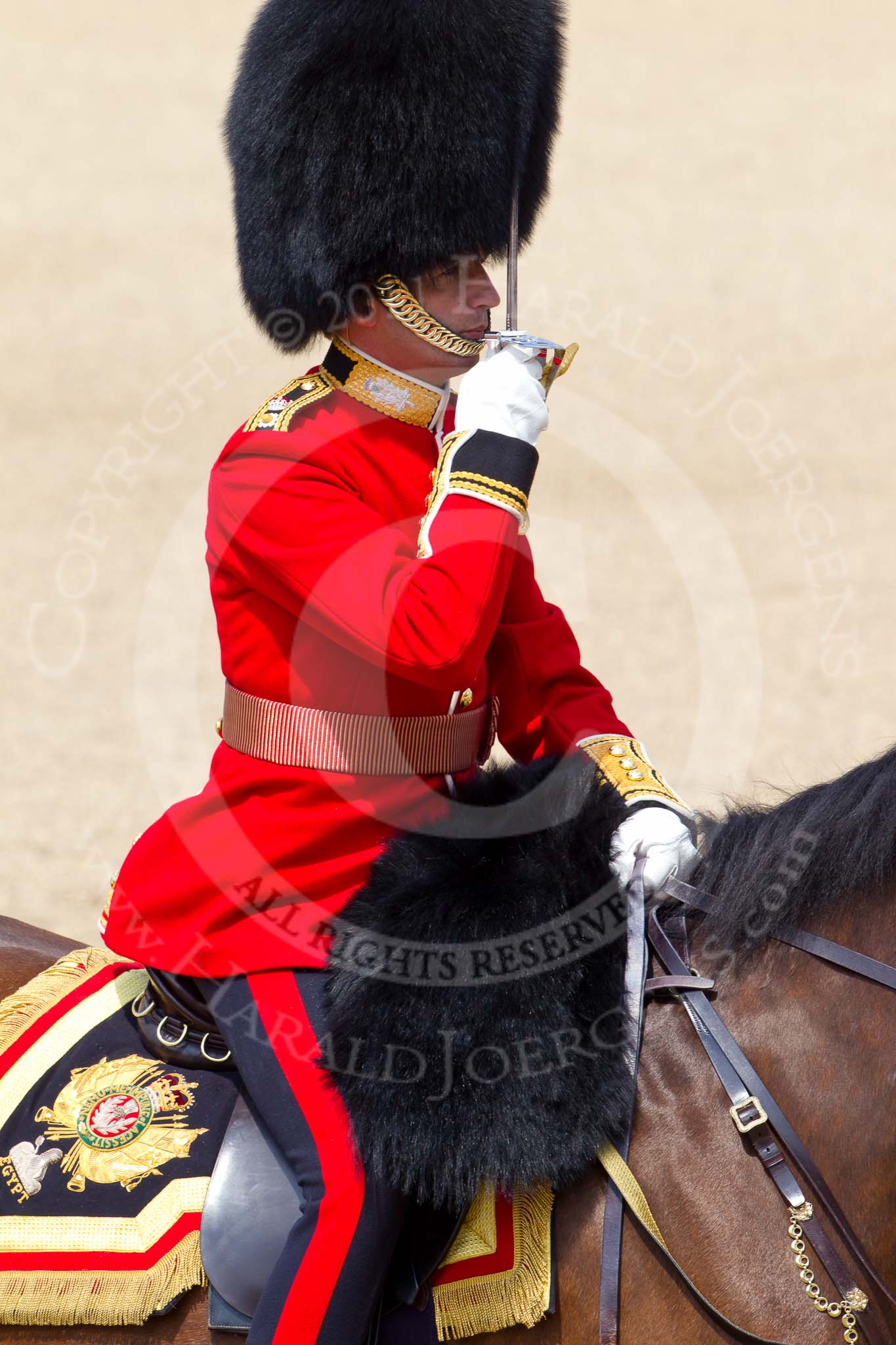 The Colonel's Review 2011: The Field Officer, Lieutenant Colonel L P M Jopp, has got permission to march off..
Horse Guards Parade, Westminster,
London SW1,

United Kingdom,
on 04 June 2011 at 12:05, image #282