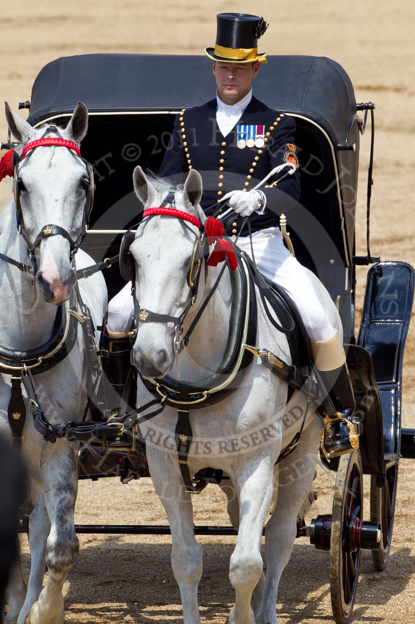 The Colonel's Review 2011: Head-Coachman Jack Hargreaves with the two Windsor Grey horses..
Horse Guards Parade, Westminster,
London SW1,

United Kingdom,
on 04 June 2011 at 12:06, image #285