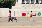 The Colonel's Review 2011: Conmael, an Irish Wolfhound, the Mascot of the Irish Guards, with his handler, a Drummer from the Irish Guards. 
Behind, the first of the five Drum Majors on parade, Senior Drum Major Ben Roberts, Coldstream Guards, leading the Band of the Welsh Guards.
Behind them the Guards Memorial on the St. James's Park side of Horse Guards Parade..
Horse Guards Parade, Westminster,
London SW1,

United Kingdom,
on 04 June 2011 at 10:11, image #7