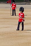 The Colonel's Review 2011: Garrison Sergeant Major W D G Mott, Welsh Guards, inspecting the parade ground to make sure everything is in a perfect condition..
Horse Guards Parade, Westminster,
London SW1,

United Kingdom,
on 04 June 2011 at 10:20, image #19