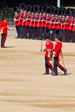 The Colonel's Review 2011: The Subaltern of No. 5 Guard, 1st Battalion Welsh Guards, and the Ensign of No. 4 Guard (Nijmegen Company Grenadier Guards)..
Horse Guards Parade, Westminster,
London SW1,

United Kingdom,
on 04 June 2011 at 10:29, image #34