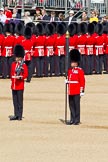 The Colonel's Review 2011: The Colour, the regimental flag that is trooped during the parade, still in the protective cover, the colour case, is held by Colour Sergeant Chris Millin. To his right one of the two sentries, behind them No. 6 Guard, No. 7 Company Coldstream Guards..
Horse Guards Parade, Westminster,
London SW1,

United Kingdom,
on 04 June 2011 at 10:32, image #40