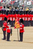 The Colonel's Review 2011: The Colour is uncased. Colour Sergeant Chris Millin is straightening the flag, whilst the Duty Drummer, holding the colour case, salutes the Colour. Behind the drummer, presenting arms, one of the two sentries..
Horse Guards Parade, Westminster,
London SW1,

United Kingdom,
on 04 June 2011 at 10:33, image #47
