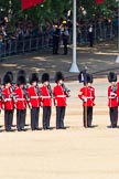 The Colonel's Review 2011: No. 5 Guard, 1st Battalion Welsh Guards..
Horse Guards Parade, Westminster,
London SW1,

United Kingdom,
on 04 June 2011 at 10:38, image #52