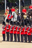 The Colonel's Review 2011: The Royal Procession during The Colonel's Review. From right to left, Major Twumasi-Ankrah, riding the Princess Royal's horse,  the Queen's Stud Groom, riding in place of The Prince of Wales, and HRH Prince William, The Duke of Cambridge. Behind them The Master of the Horse, The Lord Vestey, the Equerries, and the two Grooms o the Royal Household..
Horse Guards Parade, Westminster,
London SW1,

United Kingdom,
on 04 June 2011 at 10:58, image #73