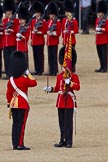 The Colonel's Review 2011: The Regimental Sergeant Major, A I Mackenzie, is about to give the Colour to the Ensign, Lieutenant Tom Ogilvy, on the left..
Horse Guards Parade, Westminster,
London SW1,

United Kingdom,
on 04 June 2011 at 11:19, image #132