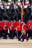 The Colonel's Review 2011: The Esnsign, Tom Ogilvy, is marching in front of the line of guards (here No. 2 Guard, B Company Scots Guards, whilst the other guardsmen of the Escort are marching between the two lines of guards. In the background The Life Guards..
Horse Guards Parade, Westminster,
London SW1,

United Kingdom,
on 04 June 2011 at 11:26, image #147