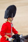 The Colonel's Review 2011: Close-up of the Field Officer, Lieutenant Colonel Lincoln P M Jopp, Scots Guards..
Horse Guards Parade, Westminster,
London SW1,

United Kingdom,
on 04 June 2011 at 11:33, image #160