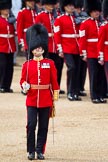 The Colonel's Review 2011: Close-up of Major Roderick Shannon, commanding the Escort to the Colour on the day..
Horse Guards Parade, Westminster,
London SW1,

United Kingdom,
on 04 June 2011 at 11:33, image #162