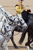The Colonel's Review 2011: Grey horses of the Mounted Band of the Household Cavalry..
Horse Guards Parade, Westminster,
London SW1,

United Kingdom,
on 04 June 2011 at 11:58, image #264