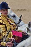The Colonel's Review 2011: Clarinettists of the Mounted Bands of the Household Cavalry during the March Past..
Horse Guards Parade, Westminster,
London SW1,

United Kingdom,
on 04 June 2011 at 11:58, image #265