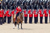 The Colonel's Review 2011: The Field Officer, Lieutenant Colonel L P M Jopp, riding 'Burniston', here in front of No. 2 Guard, B Company Scots Guards, commanding the last phase of the rehearsal..
Horse Guards Parade, Westminster,
London SW1,

United Kingdom,
on 04 June 2011 at 12:00, image #270