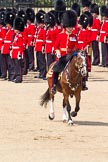 The Colonel's Review 2011: The Field Officer, Lieutenant Colonel L P M Jopp, riding 'Burniston', about to ask permission to march off..
Horse Guards Parade, Westminster,
London SW1,

United Kingdom,
on 04 June 2011 at 12:04, image #280