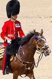 The Colonel's Review 2011: The Field Officer, Lieutenant Colonel L P M Jopp, riding 'Burniston', about to ask permission to march off..
Horse Guards Parade, Westminster,
London SW1,

United Kingdom,
on 04 June 2011 at 12:05, image #281