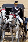 The Colonel's Review 2011: Head-Coachman Jack Hargreaves with the two Windsor Grey horses..
Horse Guards Parade, Westminster,
London SW1,

United Kingdom,
on 04 June 2011 at 12:06, image #285