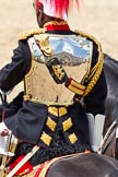 The Colonel's Review 2011: Marching Off - here Major Twumasi-Ankrah, Blues and Royals who rides on the Princess Royal's horse, with the reflection of Horse Guards Building in the shield..
Horse Guards Parade, Westminster,
London SW1,

United Kingdom,
on 04 June 2011 at 12:07, image #290