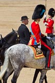 The Colonel's Review 2011: Marching Off - HRH Prince William, The Duke of Cambridge, and the Queen's Stud Groom, who rides in place of the Prince of Wales at this Colonel's Review..
Horse Guards Parade, Westminster,
London SW1,

United Kingdom,
on 04 June 2011 at 12:07, image #292