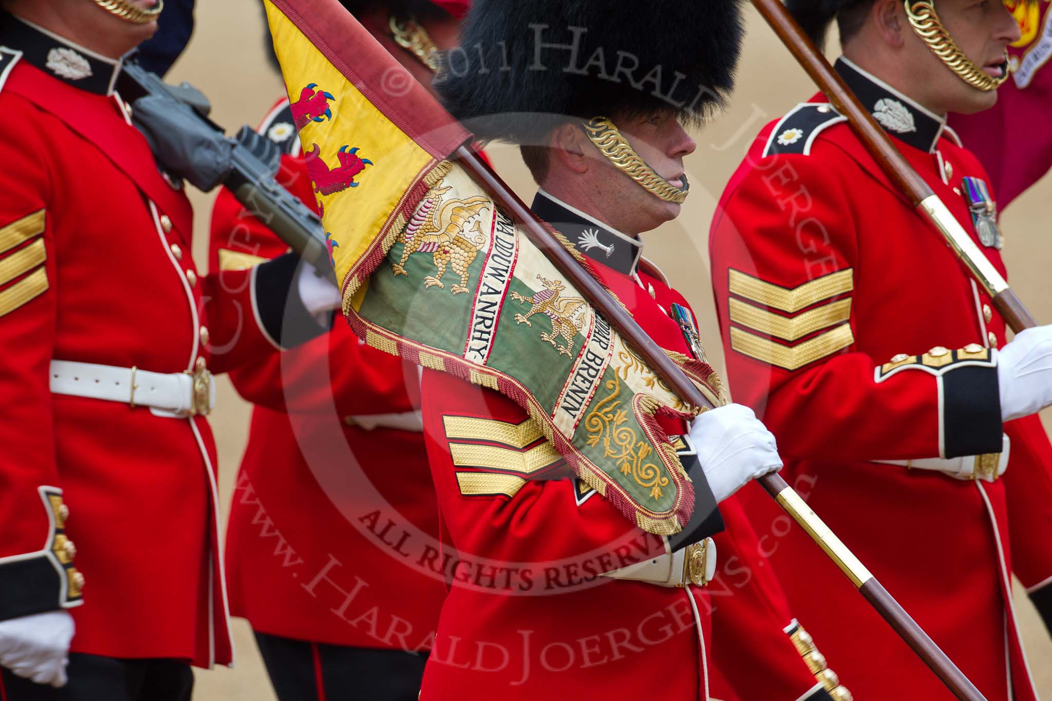 The Major General's Review 2011: Close-up of a Colour Sergeant from the Welsh Guards, here as 'Keeper of the Ground', with the regimental flag..
Horse Guards Parade, Westminster,
London SW1,
Greater London,
United Kingdom,
on 28 May 2011 at 09:43, image #8