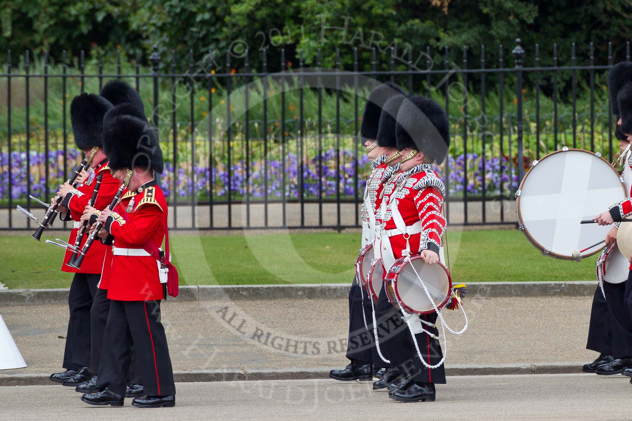 The Major General's Review 2011: The rear of the Band of the Coldstream Guards, who play Charles Ancliffe’s “The Liberators” and the Corps of Drums of the 1st Bn Coldstream Guards, march along the West side of the Parade ground to take post in front of the Downing Street garden wall..
Horse Guards Parade, Westminster,
London SW1,
Greater London,
United Kingdom,
on 28 May 2011 at 10:25, image #36