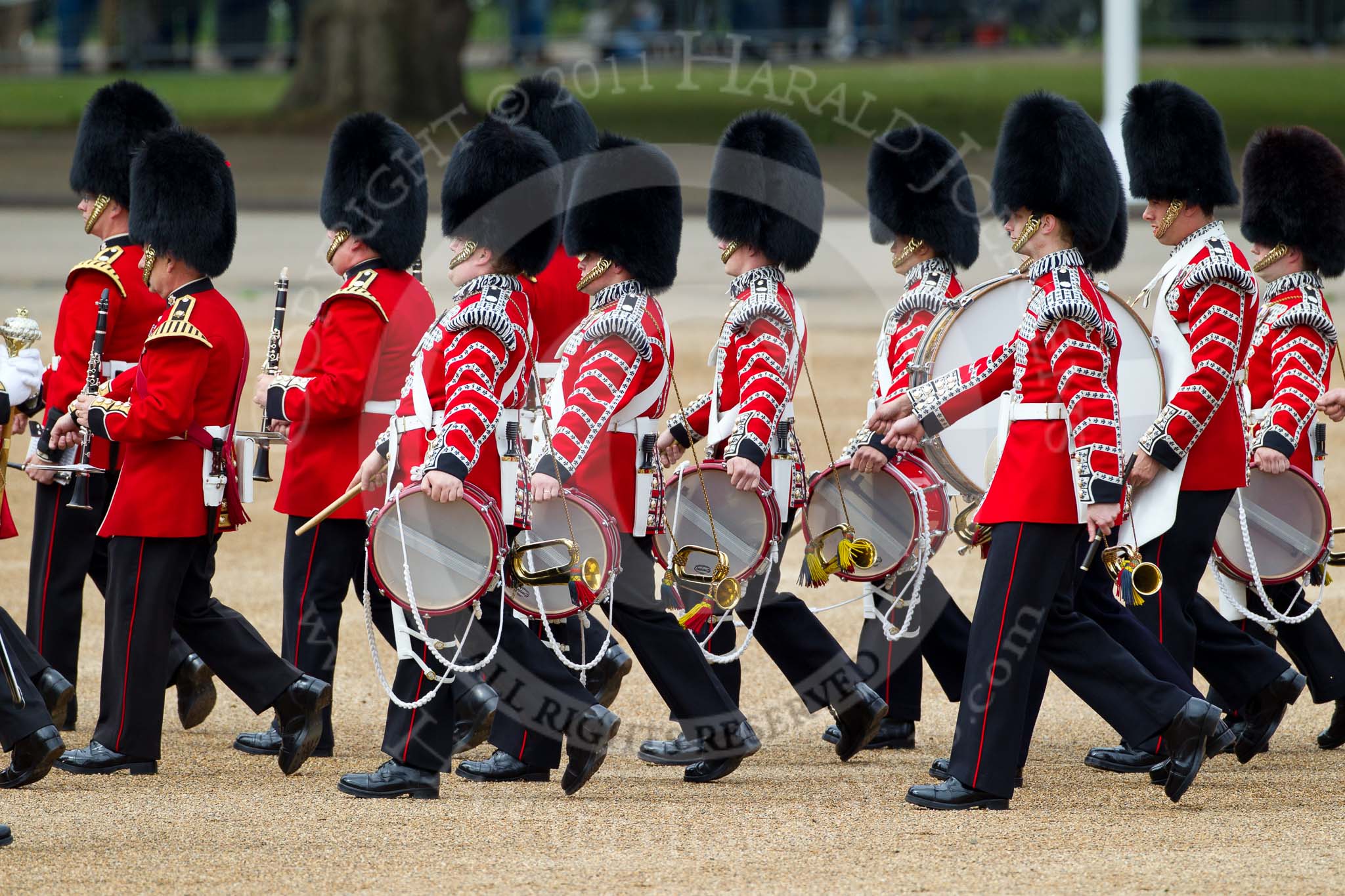 The Major General's Review 2011: Musicians of the Band of the Coldstream Guards getting into position on Horse Guards Parade..
Horse Guards Parade, Westminster,
London SW1,
Greater London,
United Kingdom,
on 28 May 2011 at 10:26, image #39