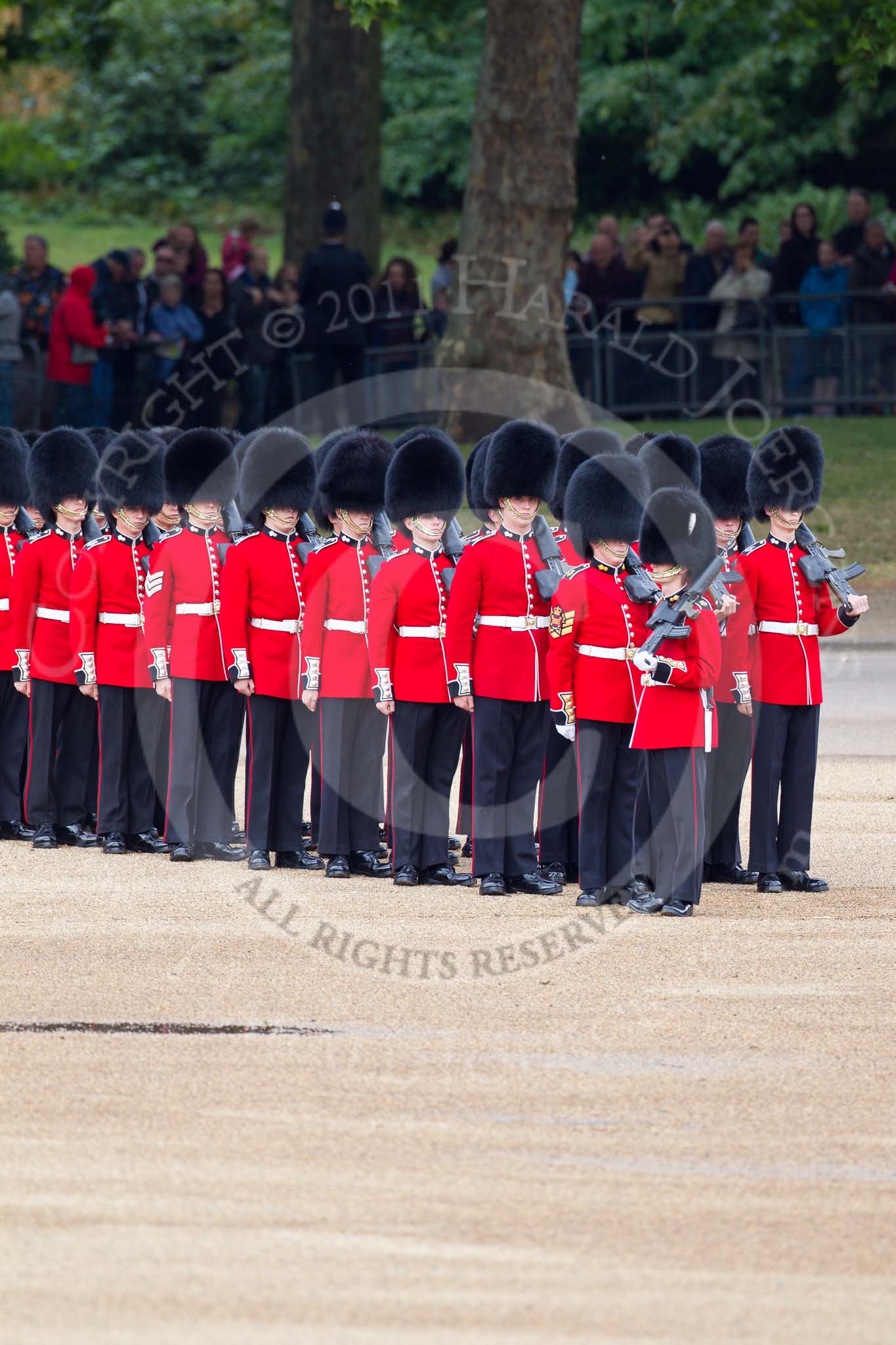 The Major General's Review 2011: No. 4 Guard, Nijmegen Company Grenadier Guards, taking position on Horse Guards Parade..
Horse Guards Parade, Westminster,
London SW1,
Greater London,
United Kingdom,
on 28 May 2011 at 10:28, image #43