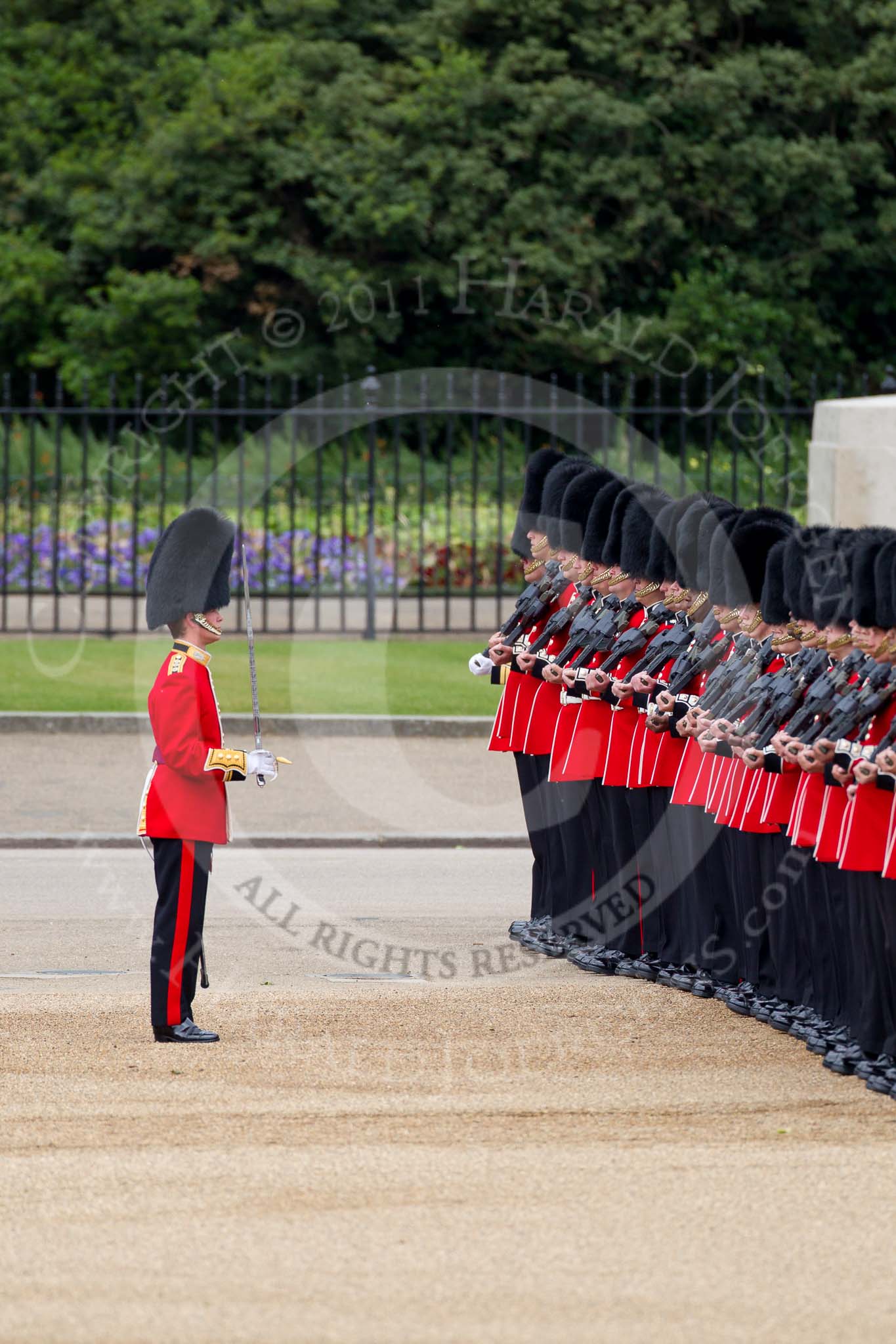 The Major General's Review 2011: The Subaltern of No. 2 Guard, B Company Scots Guards, Captain J W N Bentley, together with No. 2 Guard after arriving from Wellington Barracks..
Horse Guards Parade, Westminster,
London SW1,
Greater London,
United Kingdom,
on 28 May 2011 at 10:32, image #59