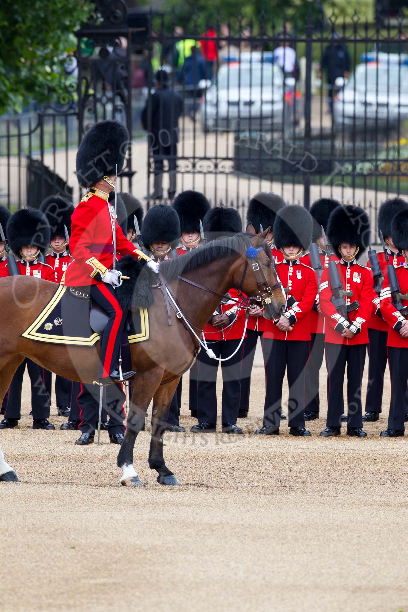 The Major General's Review 2011: The Field Office in Brigade Waiting, Lieutenant Colonel L P M Jopp, Scots Guards, riding 'Burniston'. Behind, No. 3 (?) Guard, F Company Scots Guards..
Horse Guards Parade, Westminster,
London SW1,
Greater London,
United Kingdom,
on 28 May 2011 at 10:46, image #81