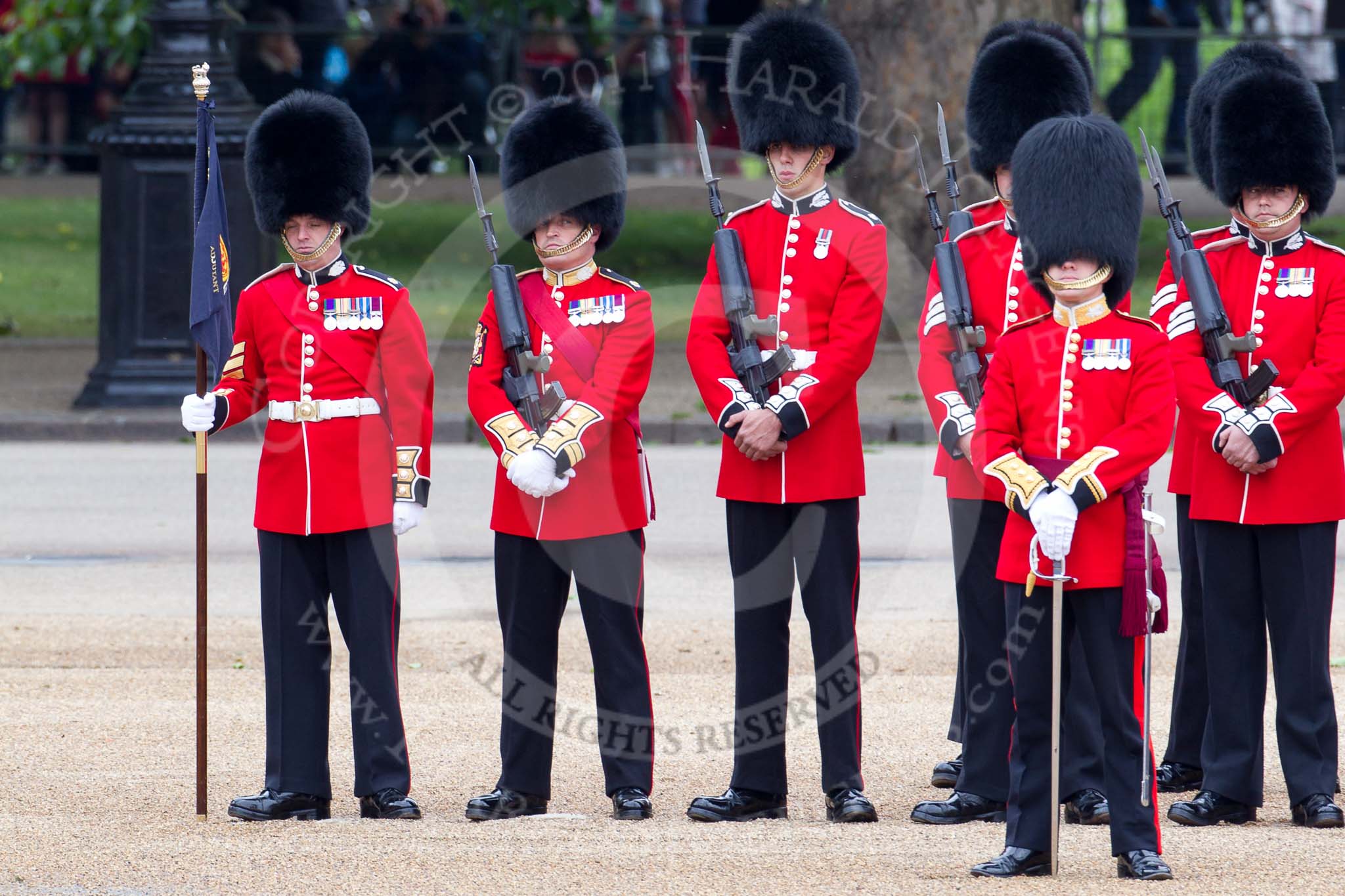 The Major General's Review 2011: No. 1 Guard, 1st Battalion Scots Guards. In front, commanding the Escort, Major Roderick Shannon, Scots Guards..
Horse Guards Parade, Westminster,
London SW1,
Greater London,
United Kingdom,
on 28 May 2011 at 10:47, image #82