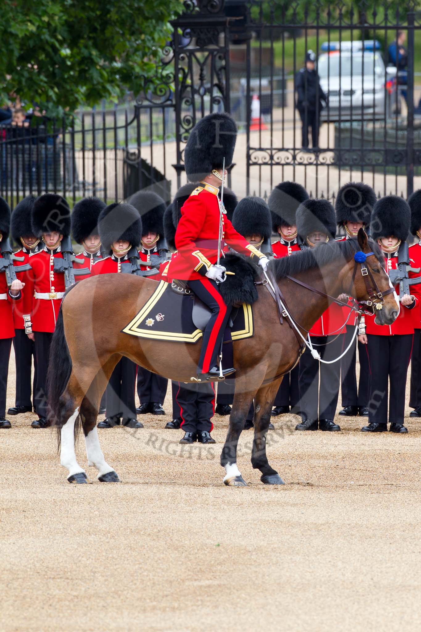 The Major General's Review 2011: The Field Office in Brigade Waiting, Lieutenant Colonel L P M Jopp, Scots Guards, riding 'Burniston'. Behind, No. 3 (?) Guard, F Company Scots Guards..
Horse Guards Parade, Westminster,
London SW1,
Greater London,
United Kingdom,
on 28 May 2011 at 10:51, image #89
