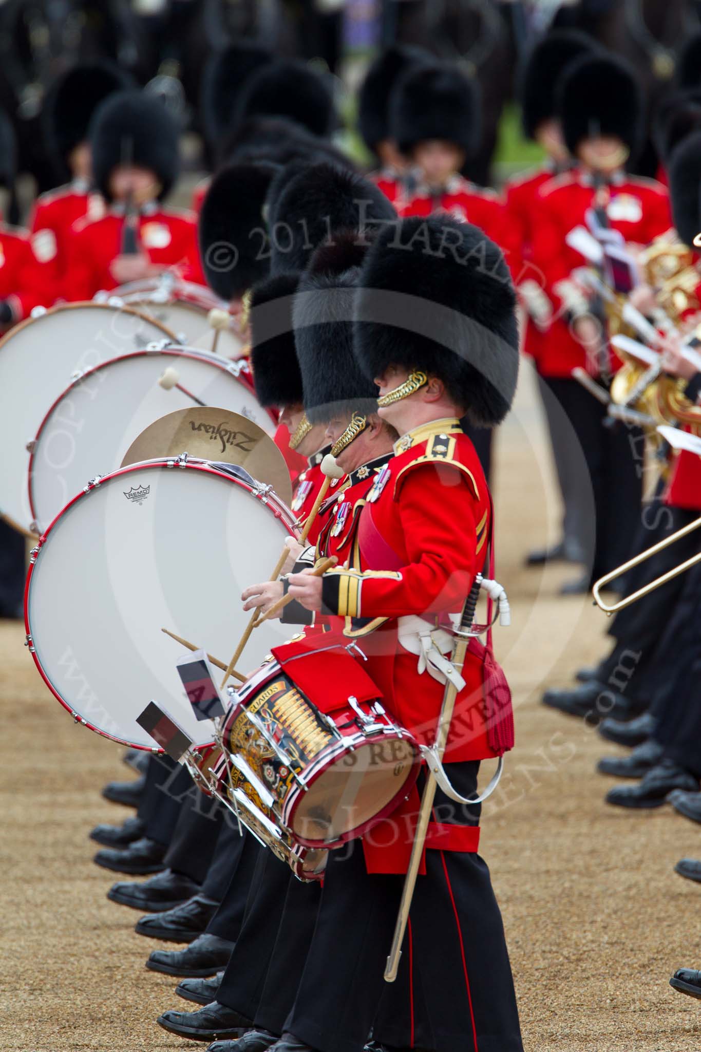 The Major General's Review 2011: Drummers of the Band of the Coldstream Guards..
Horse Guards Parade, Westminster,
London SW1,
Greater London,
United Kingdom,
on 28 May 2011 at 11:24, image #172