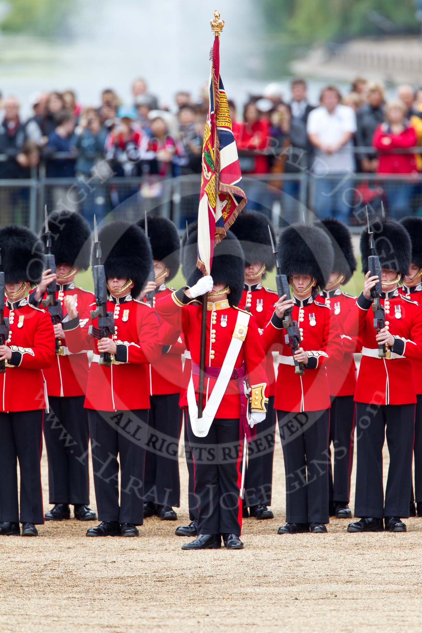 The Major General's Review 2011: The Ensign, Lieutenant Tom Ogilvy, with No. 1 Guard, the Escort to the Colour, here presenting arms..
Horse Guards Parade, Westminster,
London SW1,
Greater London,
United Kingdom,
on 28 May 2011 at 11:27, image #180