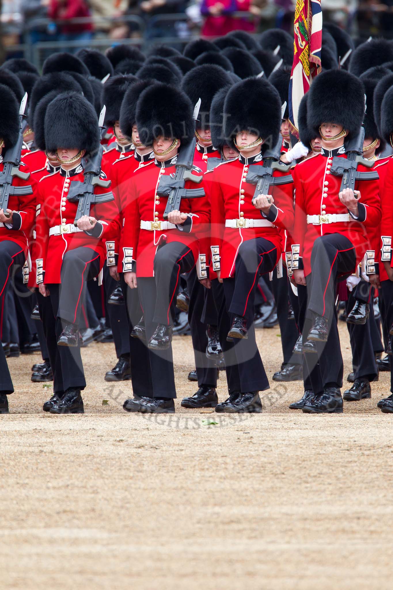 The Major General's Review 2011: The Escort to the Colour, No. 1 Guard, 1st Battalion Scots Guards..
Horse Guards Parade, Westminster,
London SW1,
Greater London,
United Kingdom,
on 28 May 2011 at 11:32, image #198