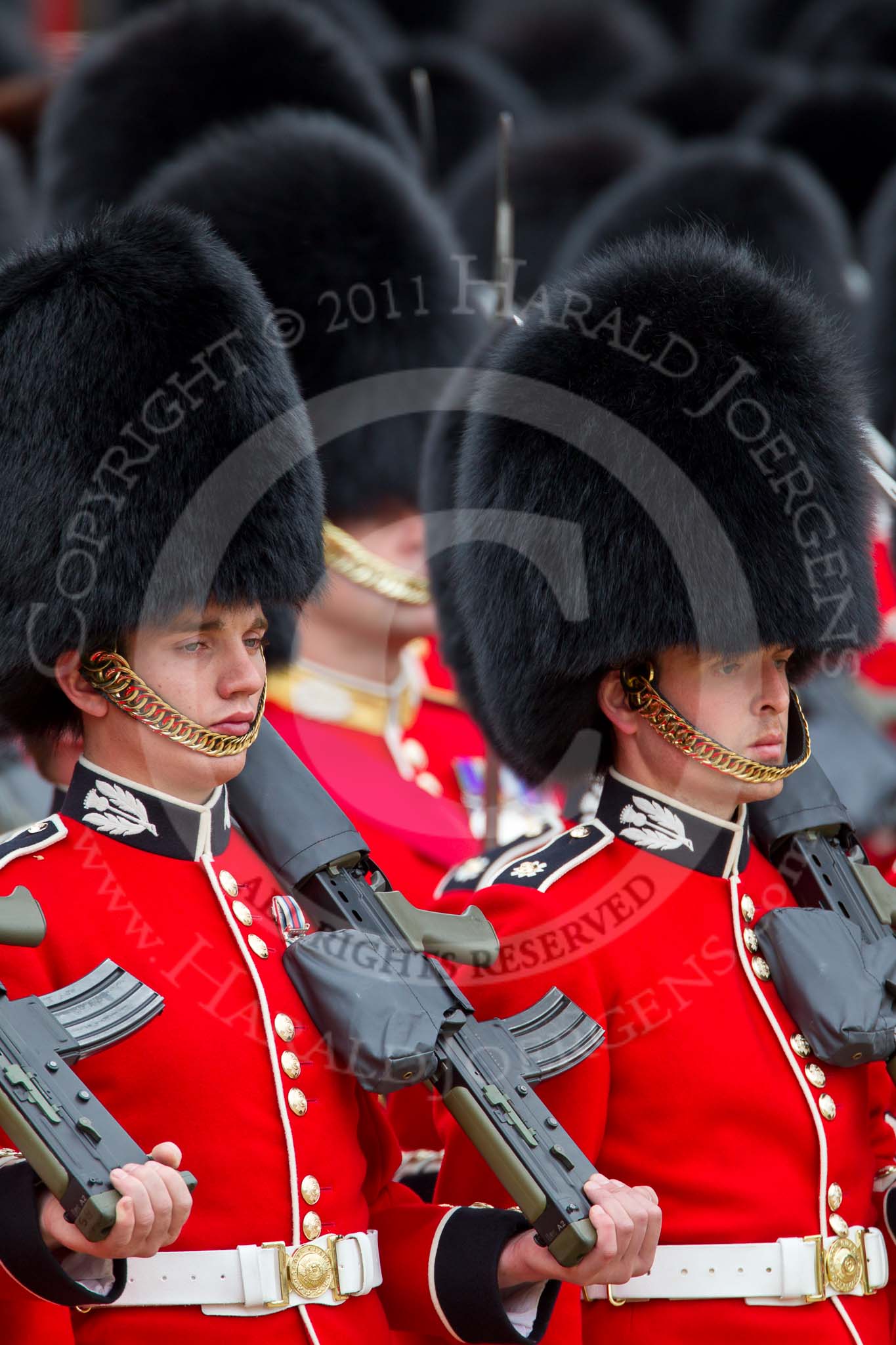The Major General's Review 2011: Close-up of two guardsmen from No. 1 Guard, 1st Battalion Scots Guards, the Escort to the Colour..
Horse Guards Parade, Westminster,
London SW1,
Greater London,
United Kingdom,
on 28 May 2011 at 11:35, image #202