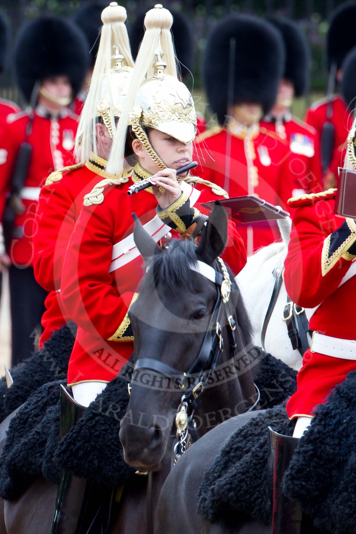 The Major General's Review 2011: Flautist of The Life Guards playing the piccolo..
Horse Guards Parade, Westminster,
London SW1,
Greater London,
United Kingdom,
on 28 May 2011 at 11:54, image #239