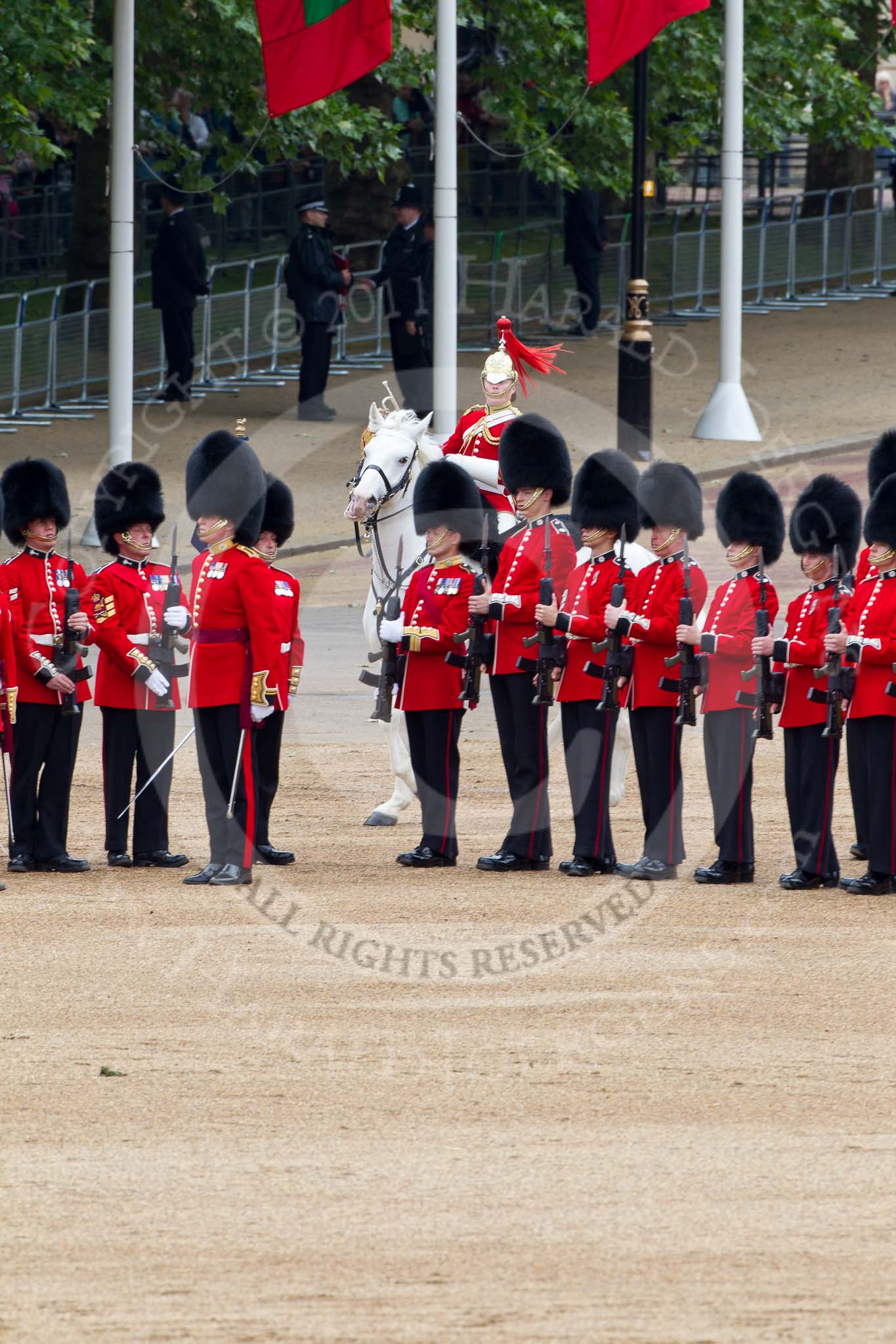 The Major General's Review 2011: The Trumpter on his grey horse arriving at the "corner" between No. 5 and No. 6 Guard..
Horse Guards Parade, Westminster,
London SW1,
Greater London,
United Kingdom,
on 28 May 2011 at 11:55, image #247