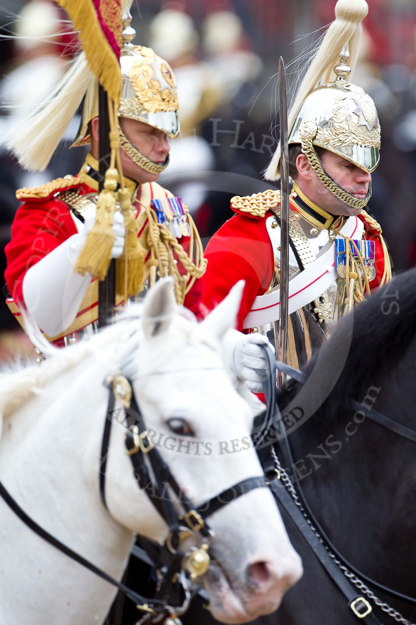 The Major General's Review 2011: The Standard Bearer, Squadron Corporal Major B K Gibson, The Life Guards, followed by the Standard Coverer, riding behind No. 2 Guard, B Company Scots Guards..
Horse Guards Parade, Westminster,
London SW1,
Greater London,
United Kingdom,
on 28 May 2011 at 11:57, image #256