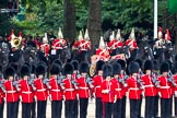 The Major General's Review 2011: The Mounted Bands of the Household Cavalry getting into position at the border of St. James's Park. In front No. 4 Guard, Nijmegen Company Grenadier Guards..
Horse Guards Parade, Westminster,
London SW1,
Greater London,
United Kingdom,
on 28 May 2011 at 10:57, image #97