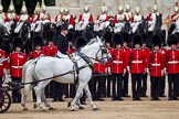 The Major General's Review 2011: The Inspection of the Line. The two Windsor Grey horses pulling a carriage instead of the ivory mounted phaeton, and head coachman Jack Hargreaves..
Horse Guards Parade, Westminster,
London SW1,
Greater London,
United Kingdom,
on 28 May 2011 at 11:02, image #117