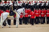 The Major General's Review 2011: The Inspection of the Line. Major General Cubitt at 'his' review, here passing No. 2 Guard, B Company Scots Guards..
Horse Guards Parade, Westminster,
London SW1,
Greater London,
United Kingdom,
on 28 May 2011 at 11:02, image #118
