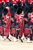 The Major General's Review 2011: Massed Bands: Pipers of the Band of the Scots Guards, following drummers of Band of the Coldstream Guard..
Horse Guards Parade, Westminster,
London SW1,
Greater London,
United Kingdom,
on 28 May 2011 at 11:10, image #139
