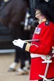 The Major General's Review 2011: Garrison Sergeant Major W D G Mott, Welsh Guards. Warrant Officer Class 1 'Billy' Mott, observing the proceedings..
Horse Guards Parade, Westminster,
London SW1,
Greater London,
United Kingdom,
on 28 May 2011 at 11:18, image #154