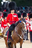 The Major General's Review 2011: Commanding the Collection of the Colour, the Field Officer, Lieutenant Colonel L P M Jopp, riding 'Burniston'..
Horse Guards Parade, Westminster,
London SW1,
Greater London,
United Kingdom,
on 28 May 2011 at 11:19, image #156