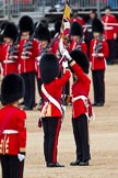 The Major General's Review 2011: Regimental Sergeant Major Ali Mackenzie helps the Ensign, Lieutenant Tom Ogilvy, to place the Colour into the Ensign's white colour belt..
Horse Guards Parade, Westminster,
London SW1,
Greater London,
United Kingdom,
on 28 May 2011 at 11:20, image #163
