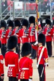The Major General's Review 2011: The Ensign; Lieutenant Tom Ogilvy, is now in charge of the Colour, and ready to troop it through the ranks..
Horse Guards Parade, Westminster,
London SW1,
Greater London,
United Kingdom,
on 28 May 2011 at 11:20, image #164