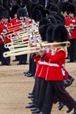 The Major General's Review 2011: Trombonists marching past No. 2 (?) Guard as they are presenting arms..
Horse Guards Parade, Westminster,
London SW1,
Greater London,
United Kingdom,
on 28 May 2011 at 11:23, image #171